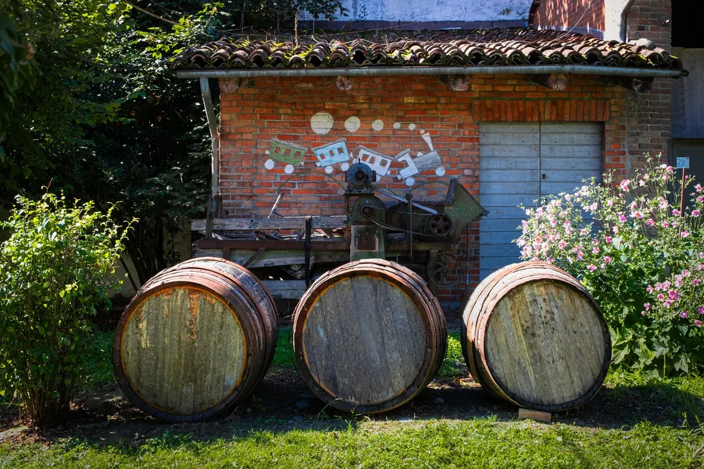 Three wooden barrels in a garden outside a brick shed with train mural