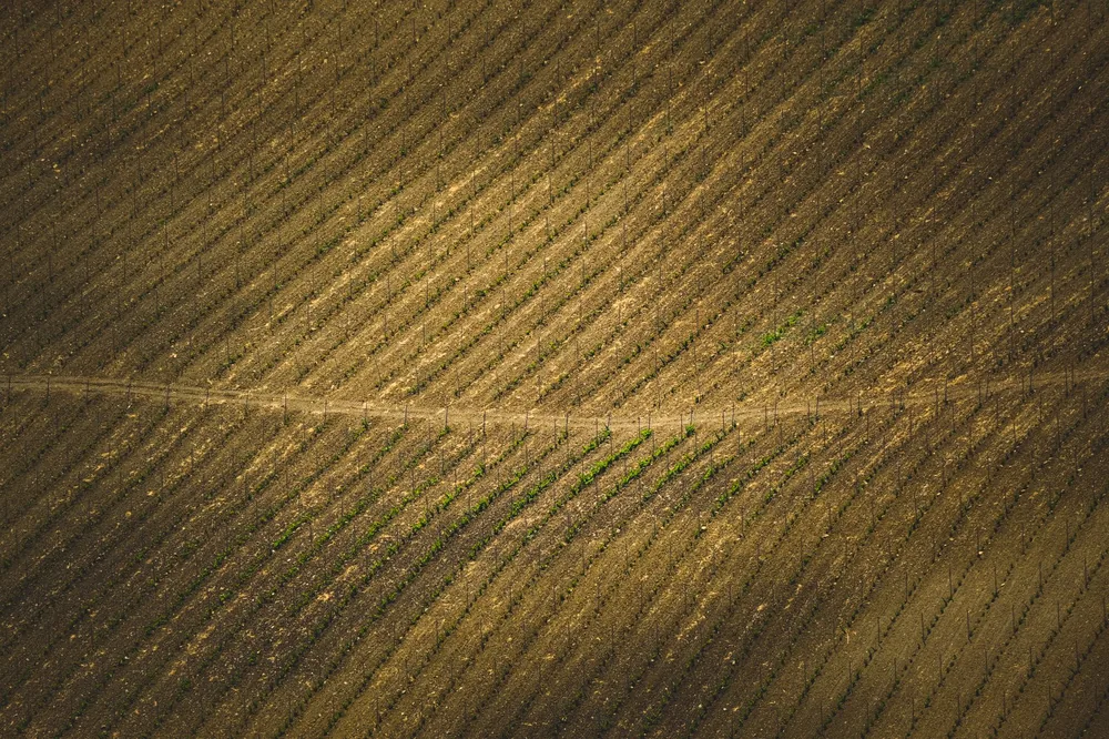 Top-down view of a geometric agricultural field with planted rows forming a pattern