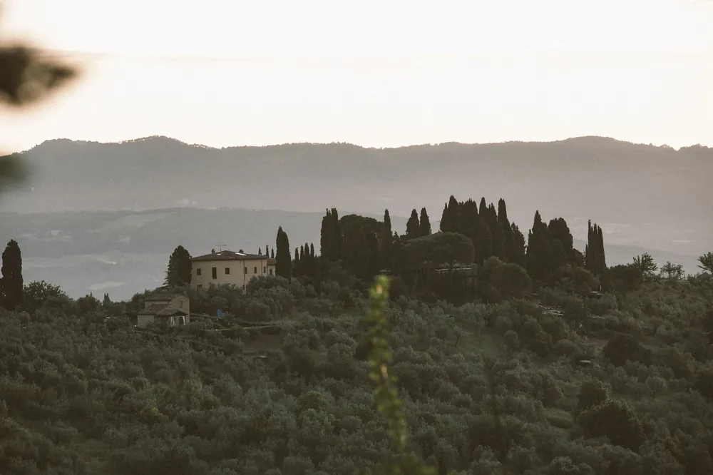 Tuscan countryside with cypress trees and rolling hills at dawn, capturing rural tranquility