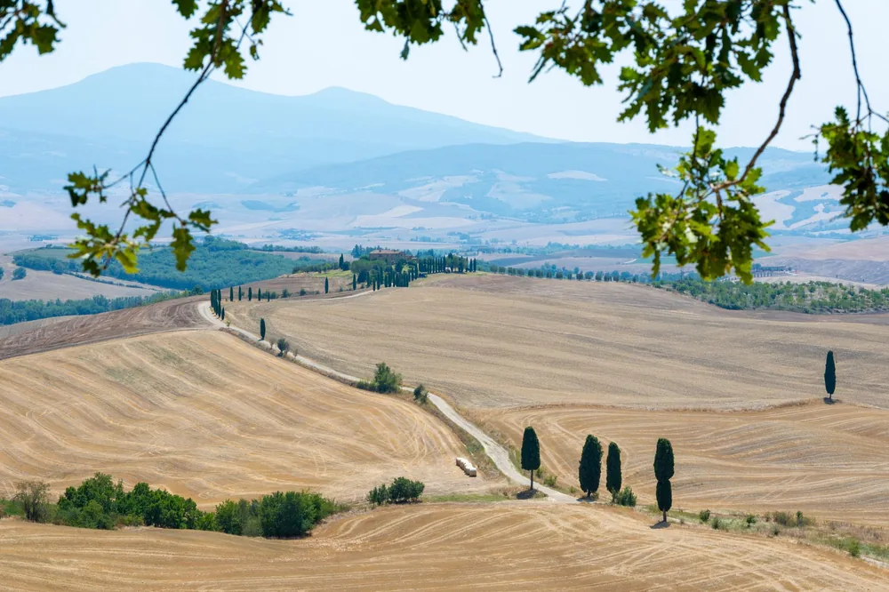 Tuscan countryside with rolling hills, cypress trees, and distant mountains in summer