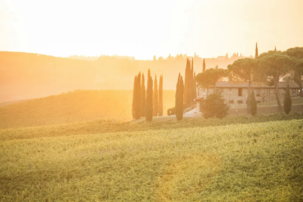 Tuscan farmhouse and cypress trees bathed in golden sunset light