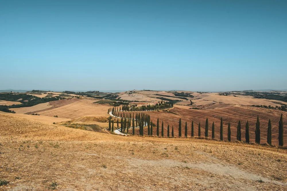 Tuscan landscape featuring rolling hills and iconic cypress trees under a clear blue sky