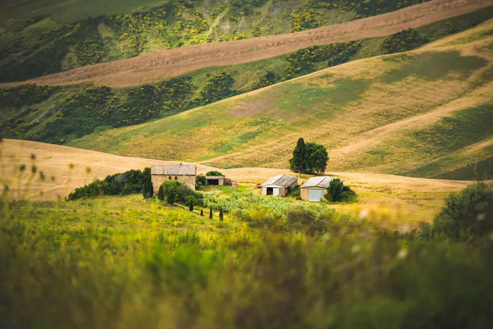 Tuscan landscape featuring rustic farmhouses nestled in rolling hills under a bright sky