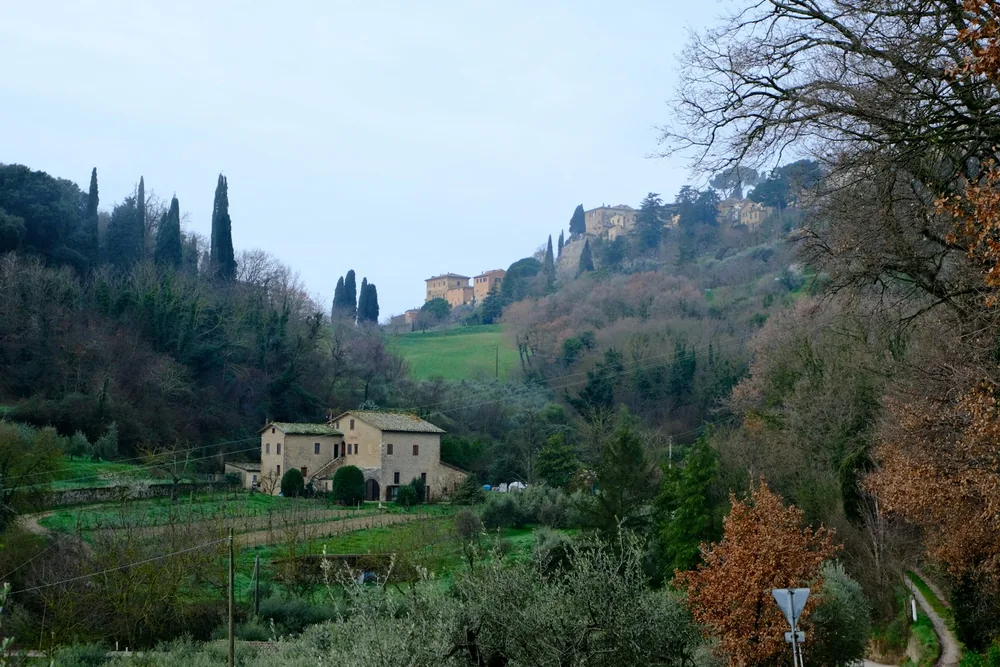 Tuscan landscape with buildings and cypress trees