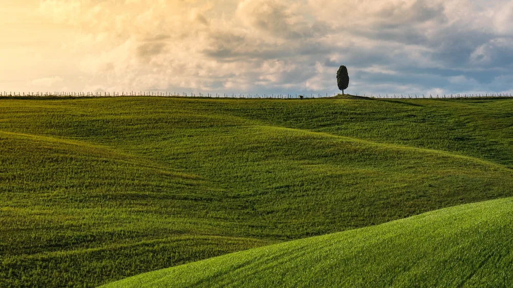 Tuscan landscape with green hills and a lone tree under a cloudy sky