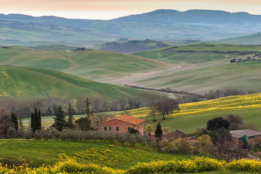 Tuscan landscape with lush green hills and a rustic farmhouse