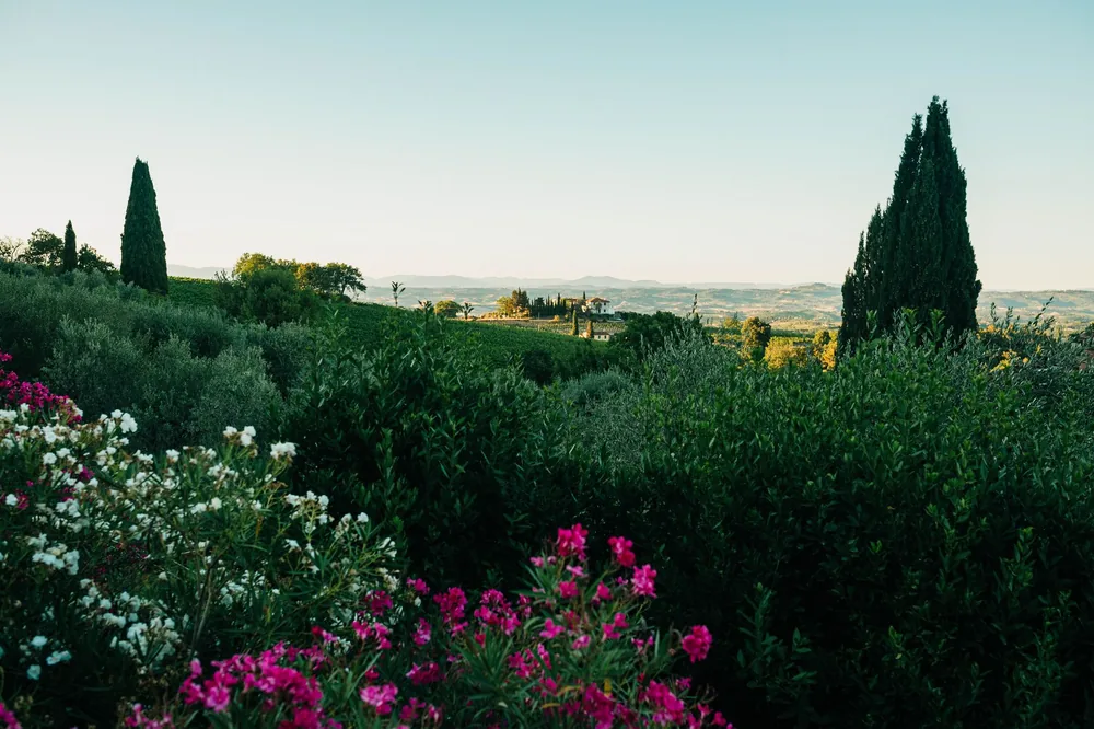 Tuscan landscape with lush greenery and colorful flowers in the countryside