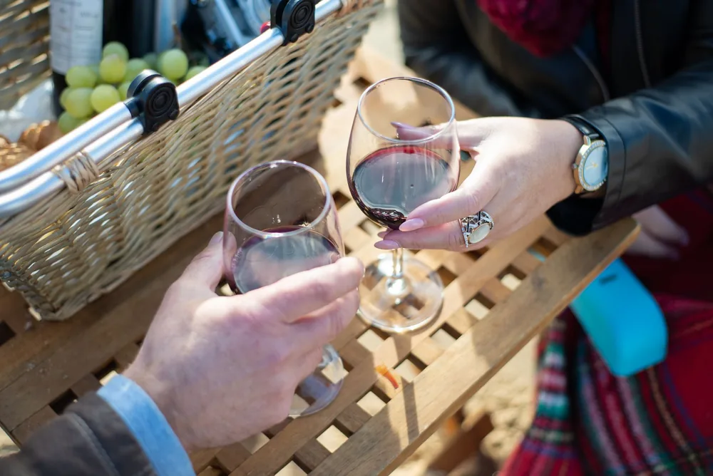 Two people clinking glasses of red wine near a picnic basket outdoors