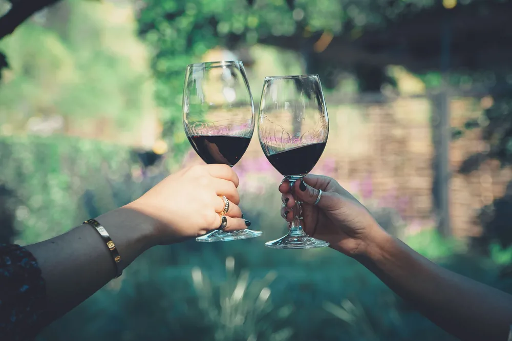 Two people toasting with red wine glasses in a outdoor setting, capturing a celebratory moment