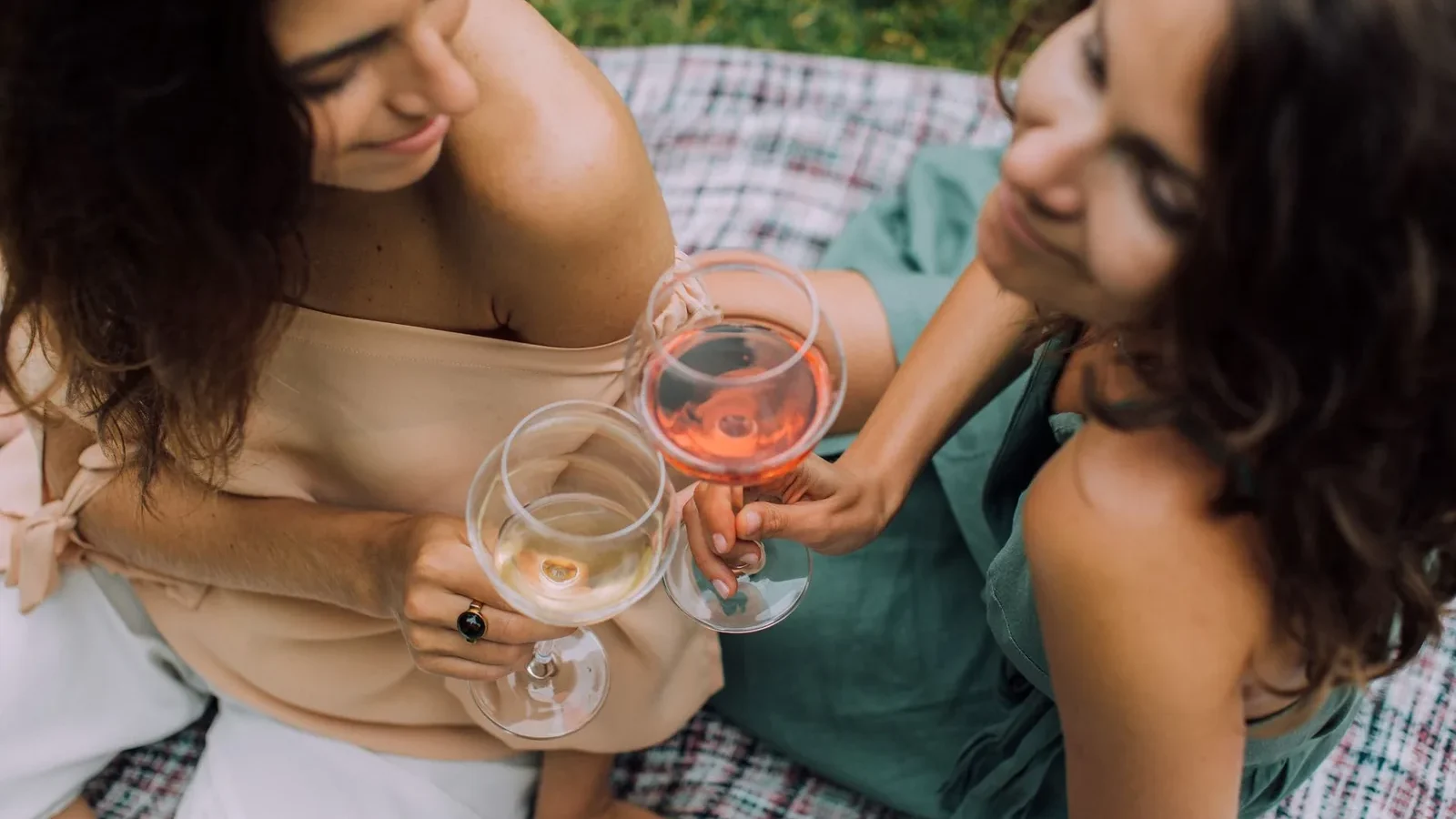 Two women enjoying a casual outdoor gathering while toasting with glasses of wine