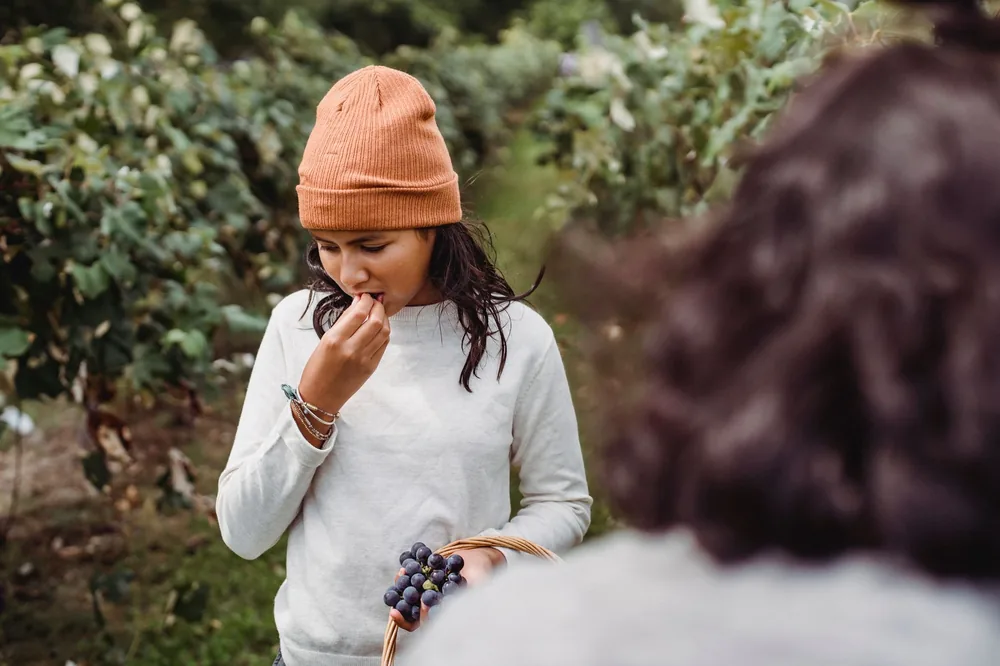 Unrecognizable person standing near teenage girl in beanie carrying basket with fresh grapes and trying fruit in vineyard