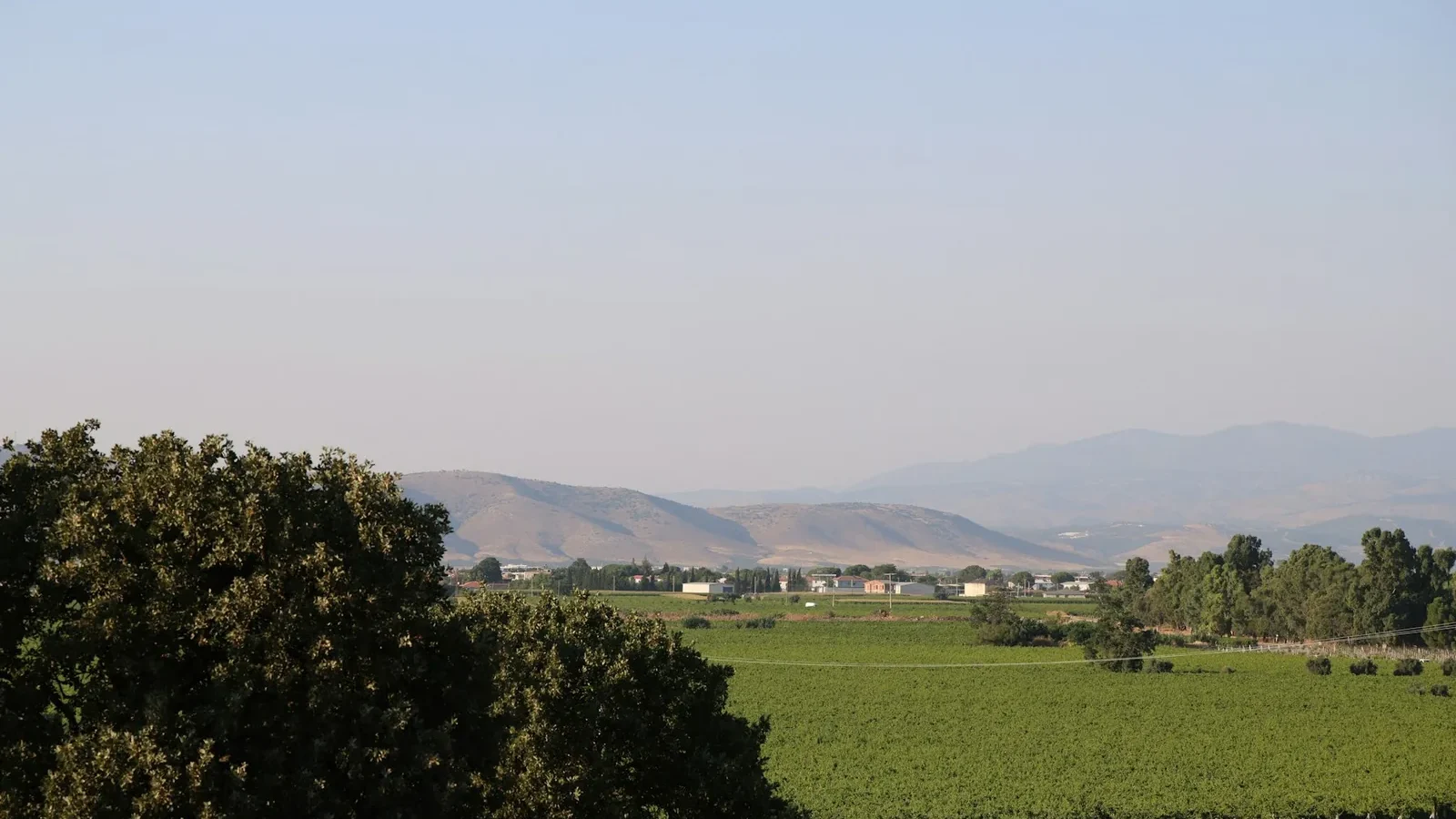 Vast green field with trees and distant mountains