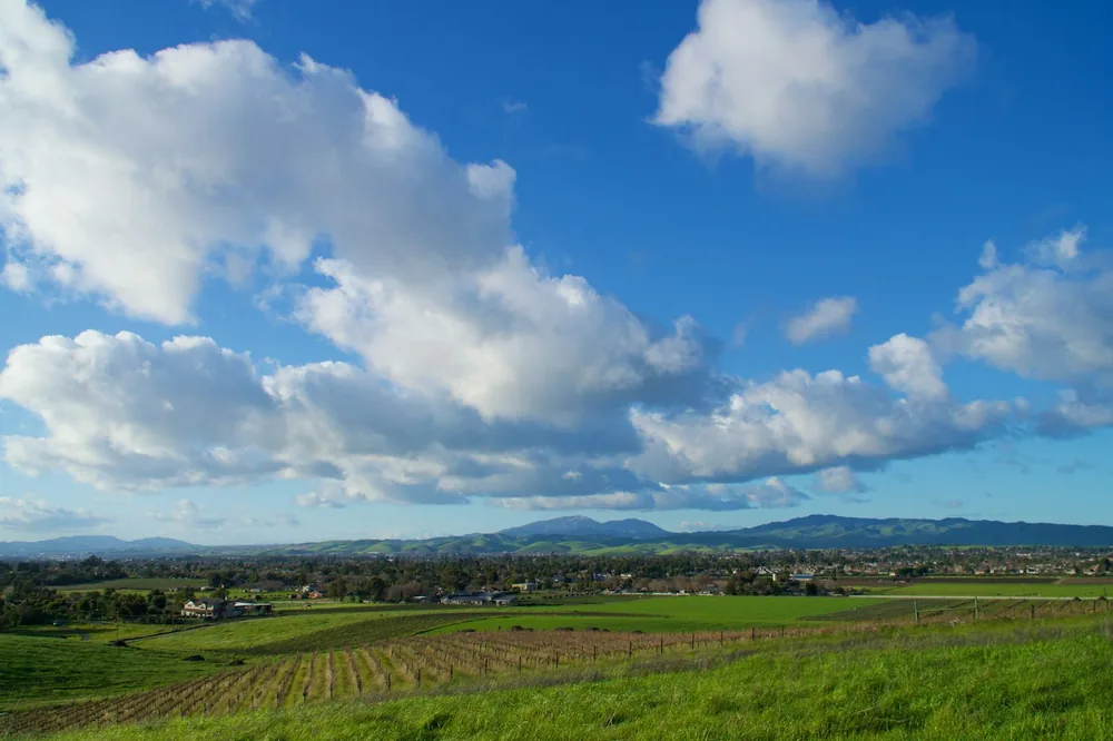 Vast green fields under a bright blue sky with clouds