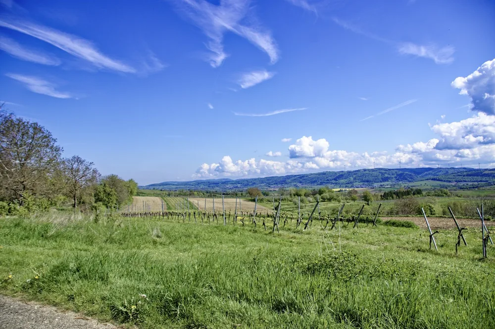 Vast green landscape under a bright blue sky