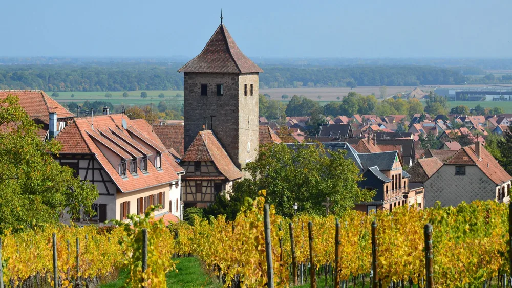 Village scene with vineyard and historic stone tower under blue sky
