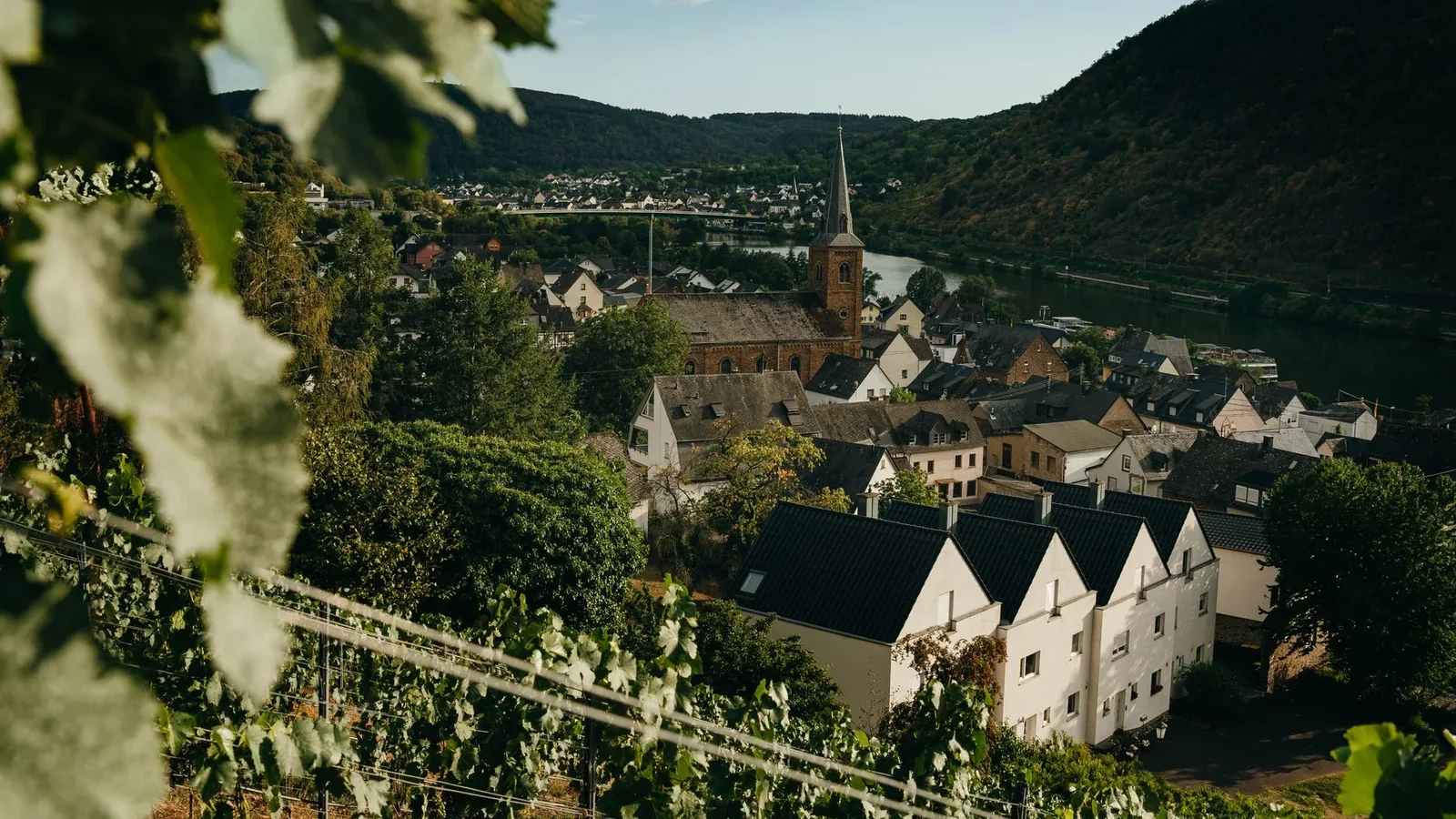 Village surrounded by lush vineyards by the river in a serene valley setting
