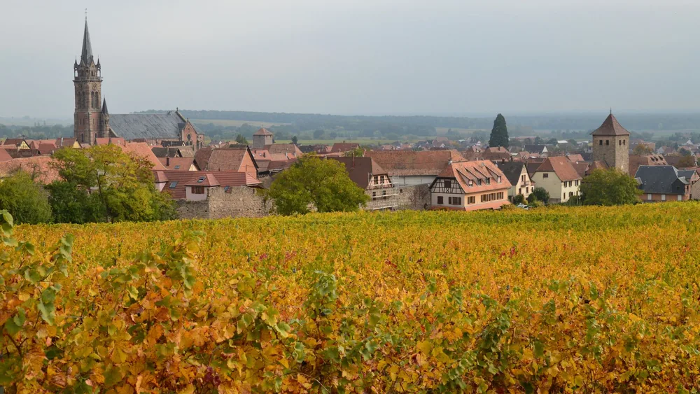 Village with vineyard in autumn, showcasing rustic architecture under overcast sky