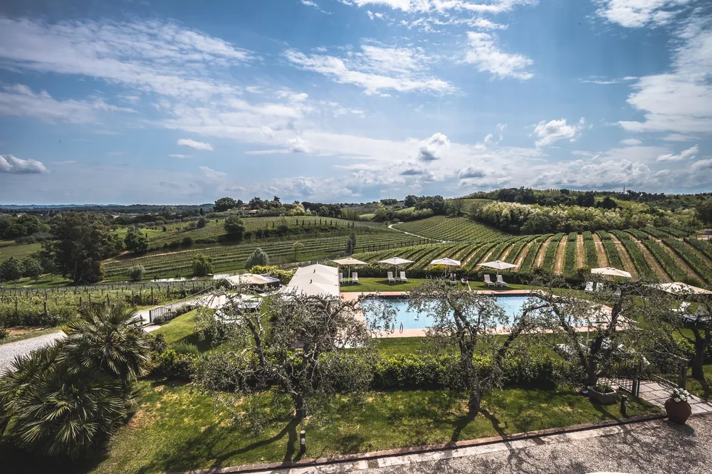 Vineyard hills with a swimming pool under a bright sky