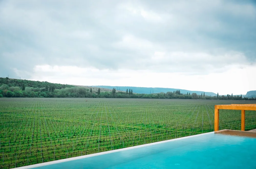 Vineyard landscape view with an infinity pool under an overcast sky