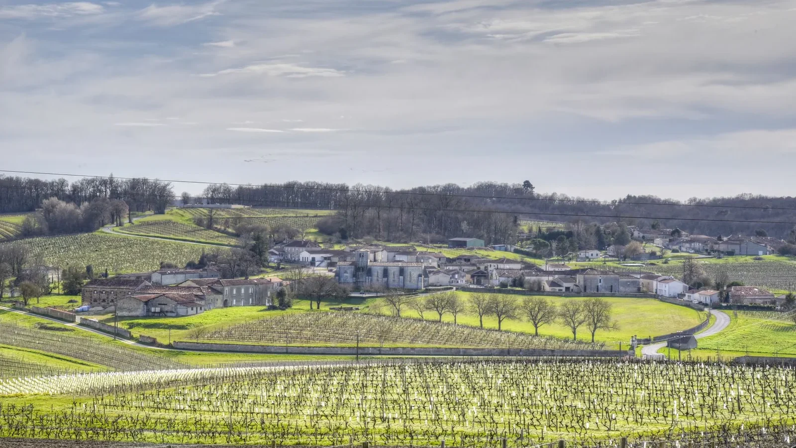 Vineyard landscape with fields and houses under a bright sky