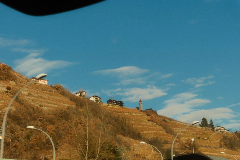Vineyard terraces on a hillside under a blue sky