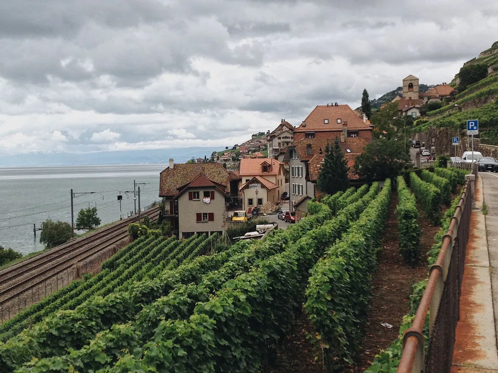 Vineyard with terraced hills and charming houses near a lake under cloudy skies