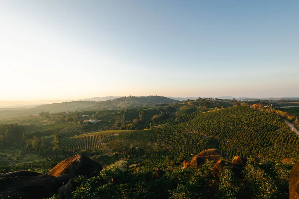 Vineyards and rolling hills at sunset, capturing nature's beauty
