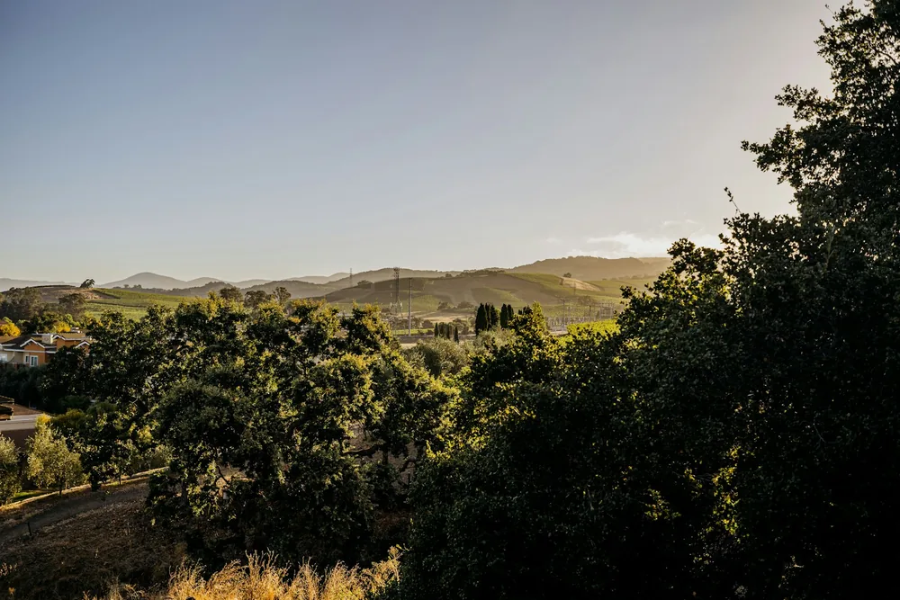 Warm sunlight illuminates green trees and distant hills