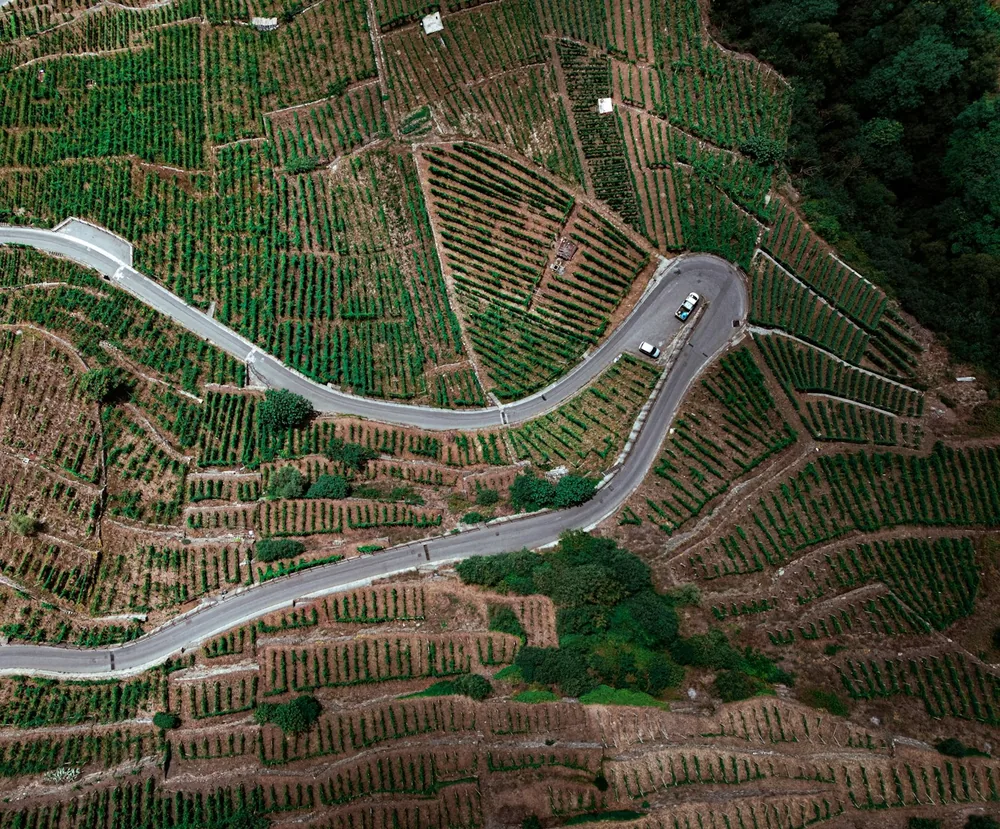 Winding road through green terraced fields from above