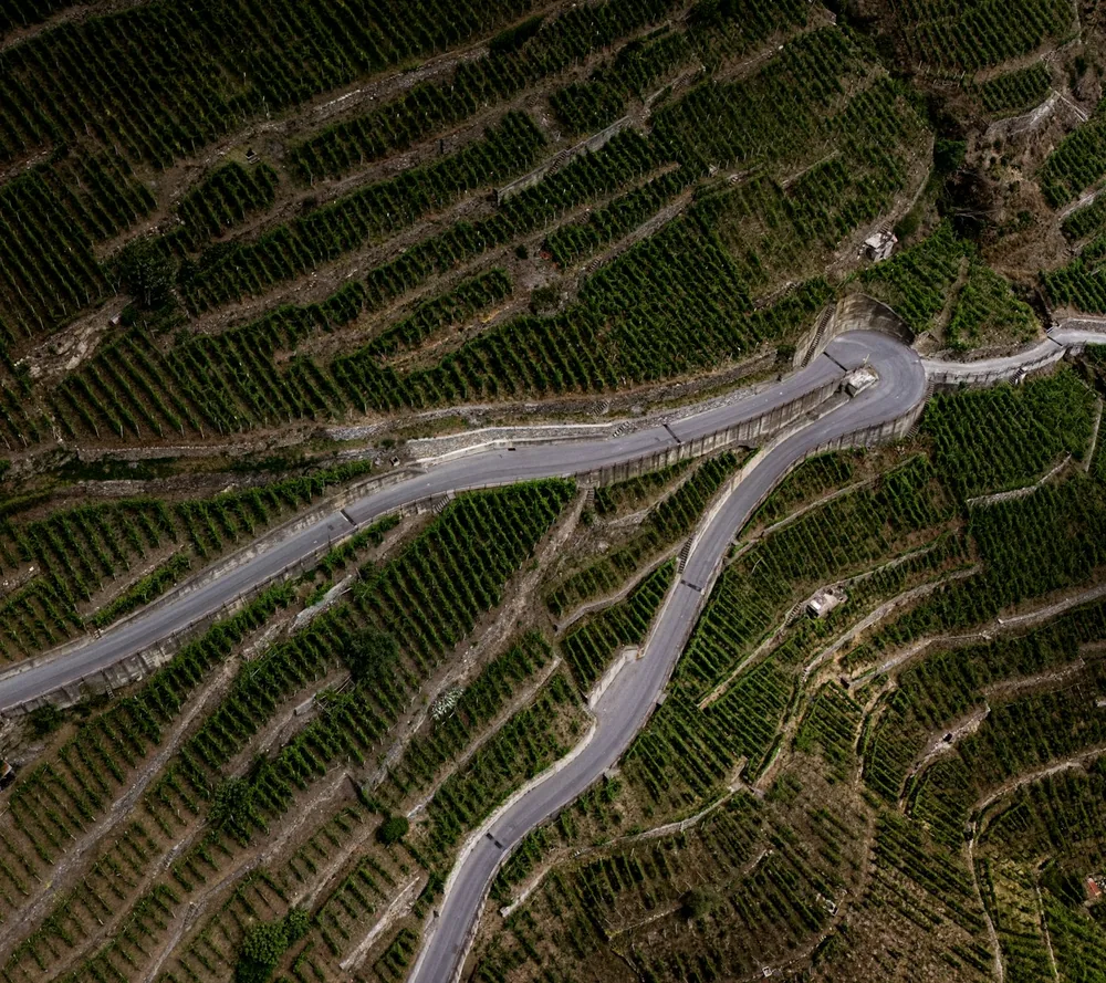 Winding roads through terraced vineyards