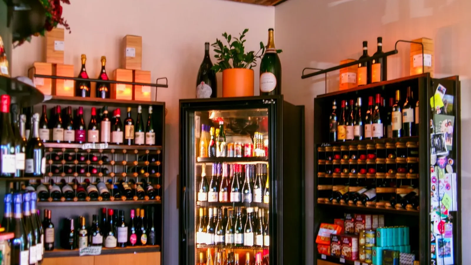 Wine shop interior showcasing assorted wine bottles on shelves