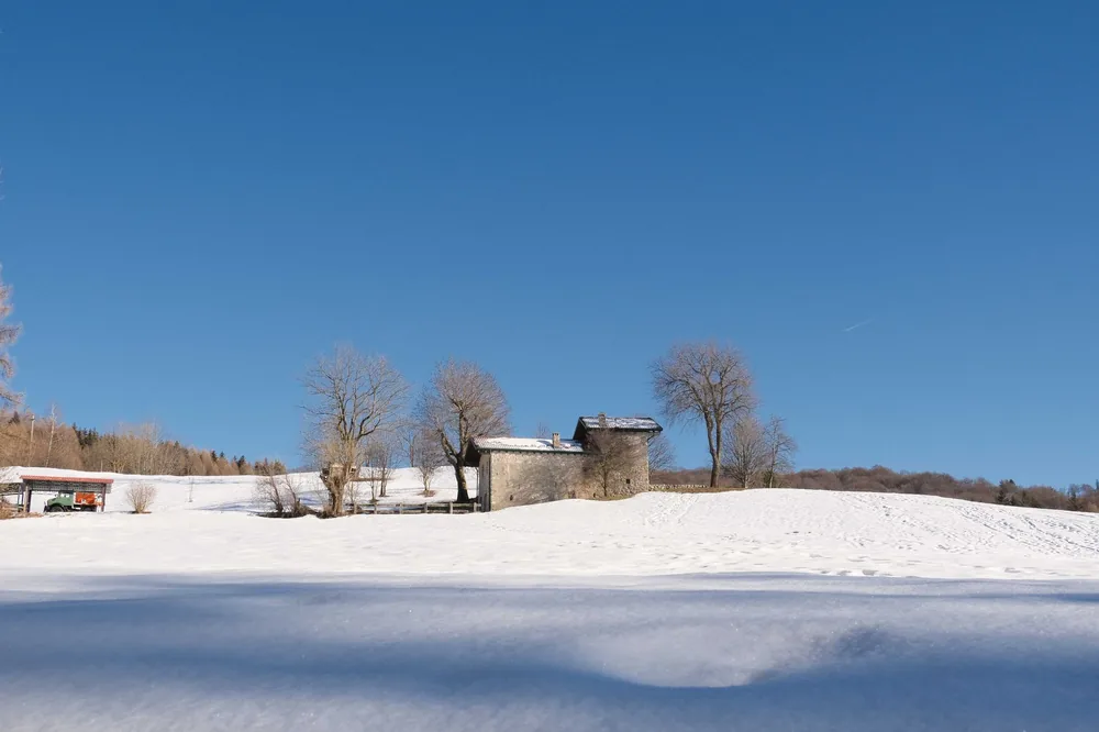 Winter countryside scene featuring snowy fields and a quaint stone farmhouse under clear blue skies