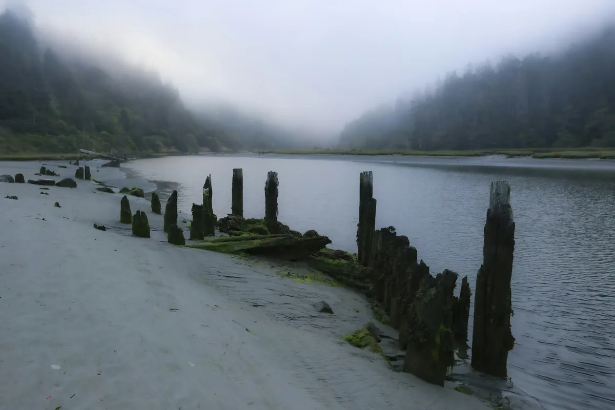 Woke early to hike to a waterfall, but the fog was good and dense but still allowing some visibility, so I stopped by the Big River to capture the trees in fog. So hard to get good fog photos