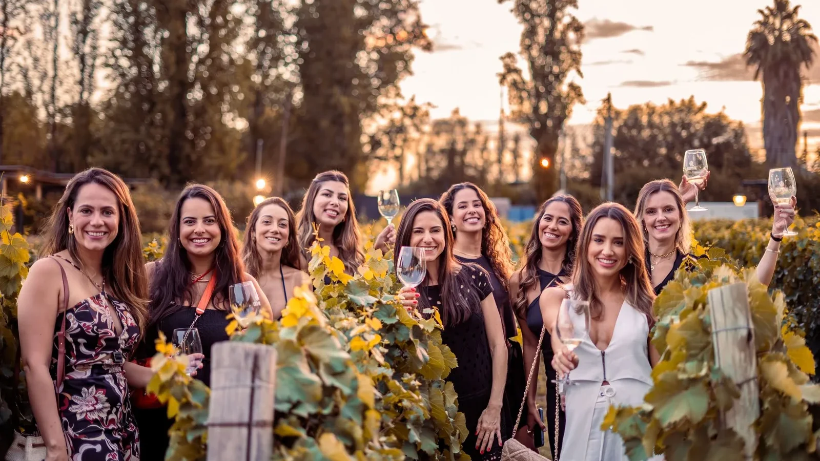 Women enjoying a sunset gathering with wine glasses at a vineyard, celebrating friendship