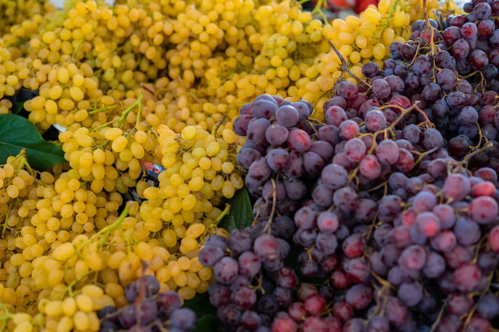 Yellow and red grapes on display at a market stall, showcasing fresh produce