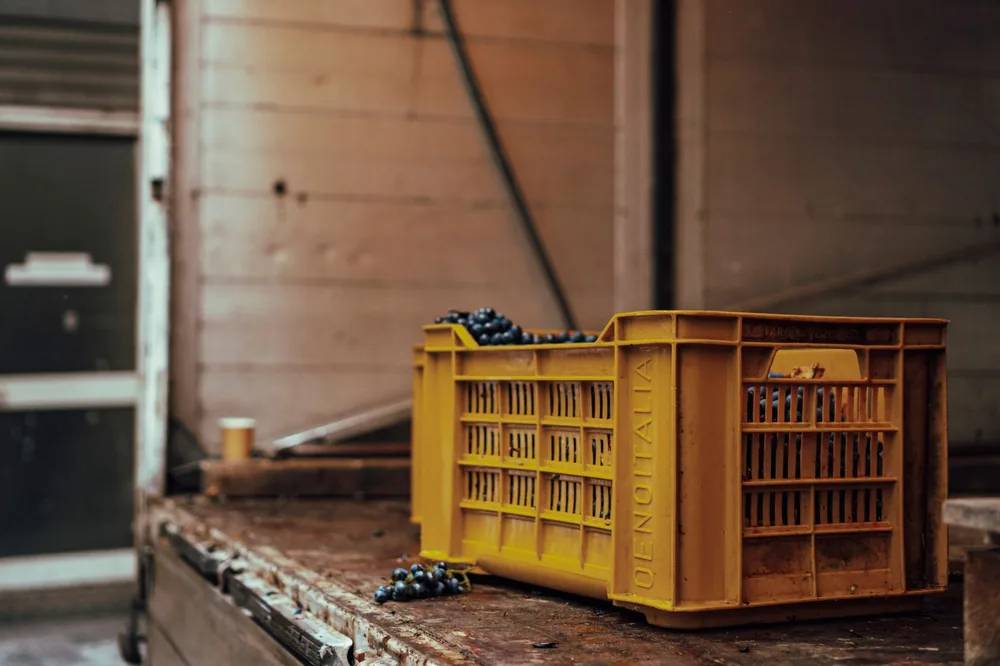 Yellow crate filled with grapes on a wooden surface indoors, perfect for winery themes